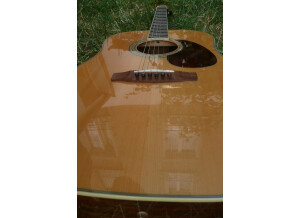 Cort Earth200 (23723)