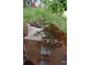 Cort Earth200 (40604)