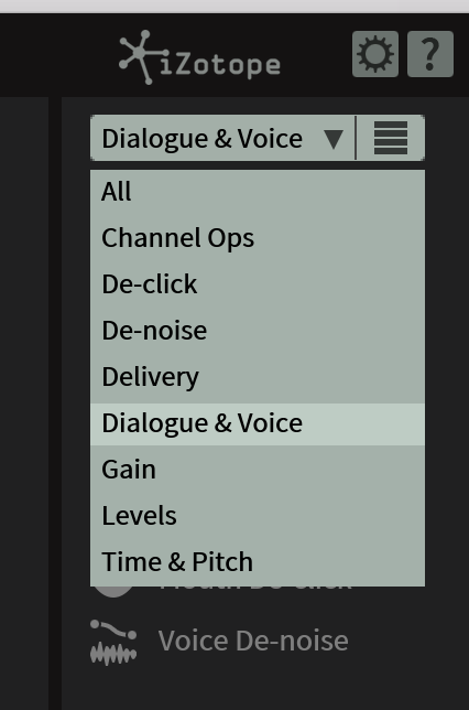 iZotope RX 6 Standard : presets