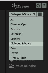 iZotope RX 6 Standard : presets iZotope RX 6 Standard : presets