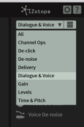 iZotope RX 6 Standard : presets iZotope RX 6 Standard : presets
