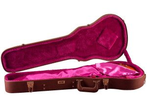 GATOR Cases GW LP BROWN (1).JPG