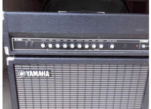 Yamaha G100 II