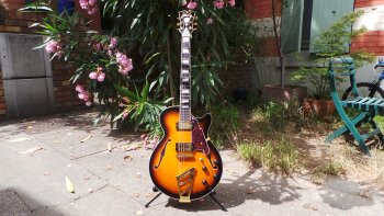 D'angelico EX-SS : D'angelico EX-SS (19551) D'angelico EX-SS : D'angelico EX-SS (19551)