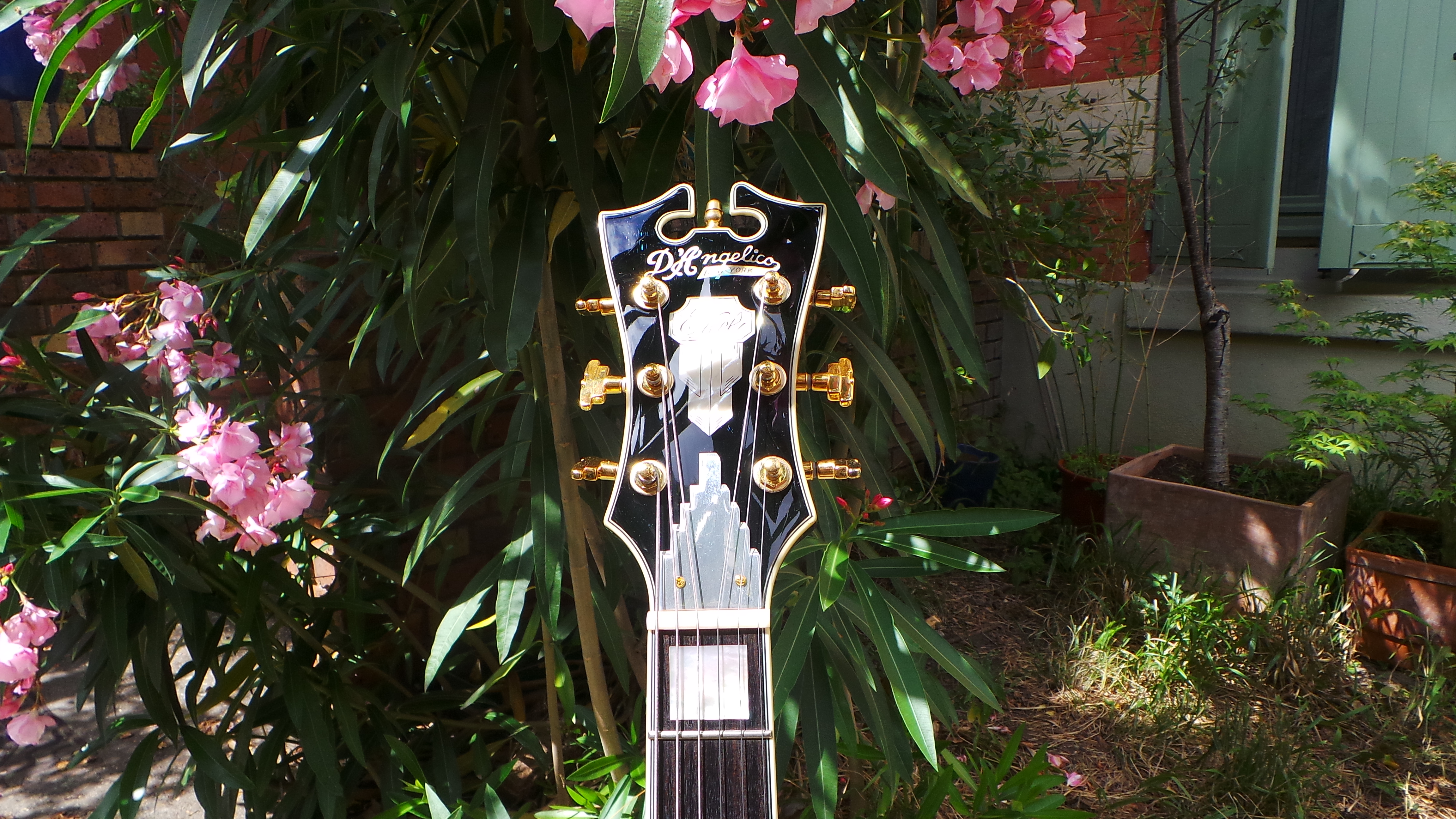 D'angelico EX-SS : D'angelico EX-SS (97487)