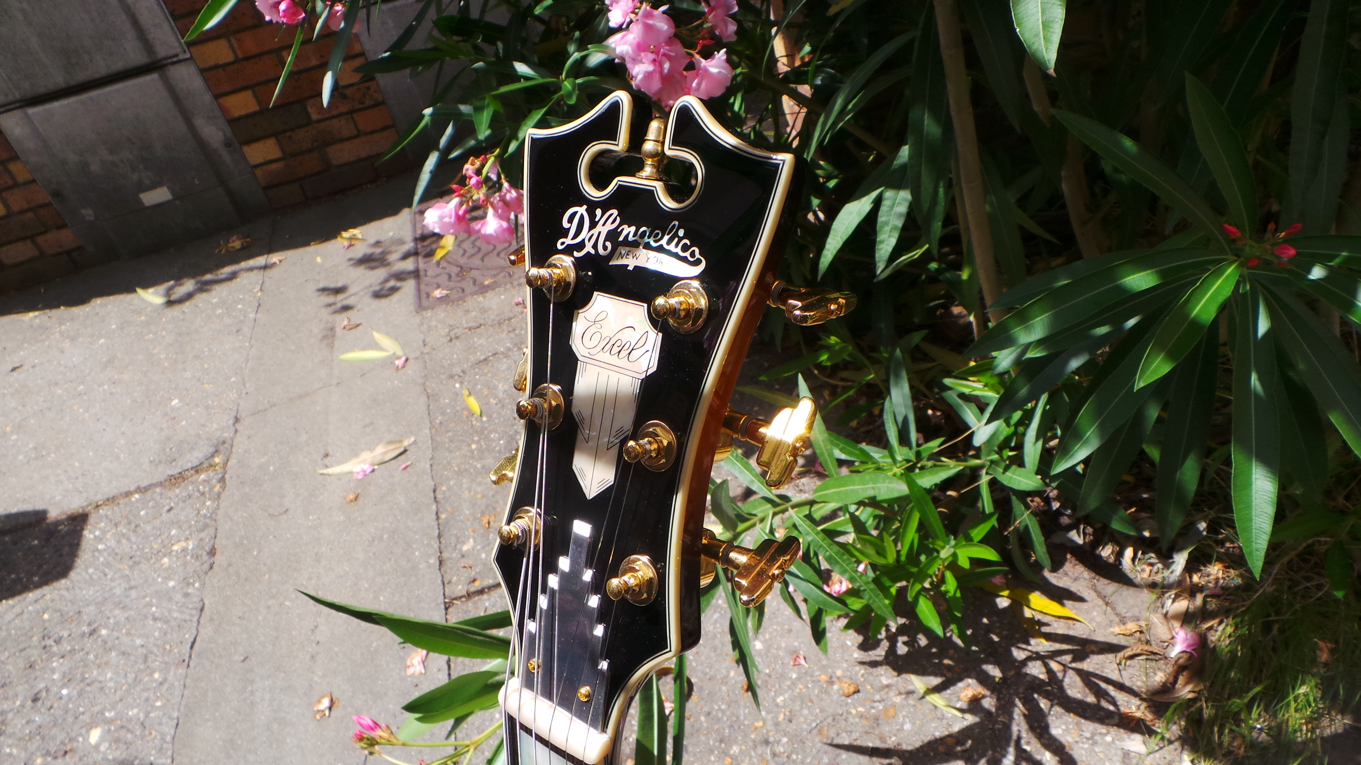 D'angelico EX-SS : D'angelico EX-SS (58617)