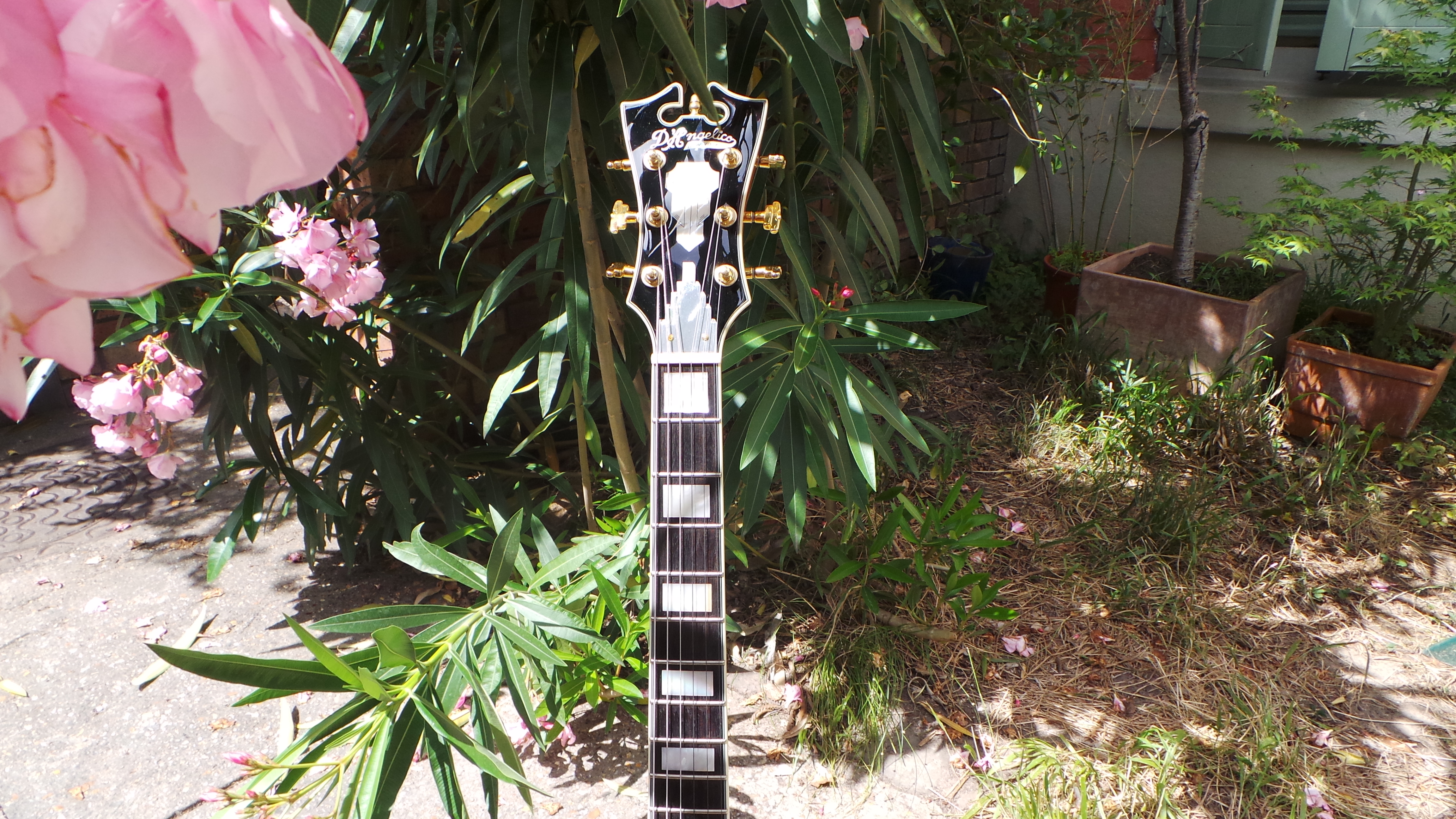 D'angelico EX-SS : D'angelico EX-SS (82421)