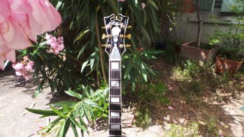 D'angelico EX-SS : D'angelico EX-SS (82421) D'angelico EX-SS : D'angelico EX-SS (82421)