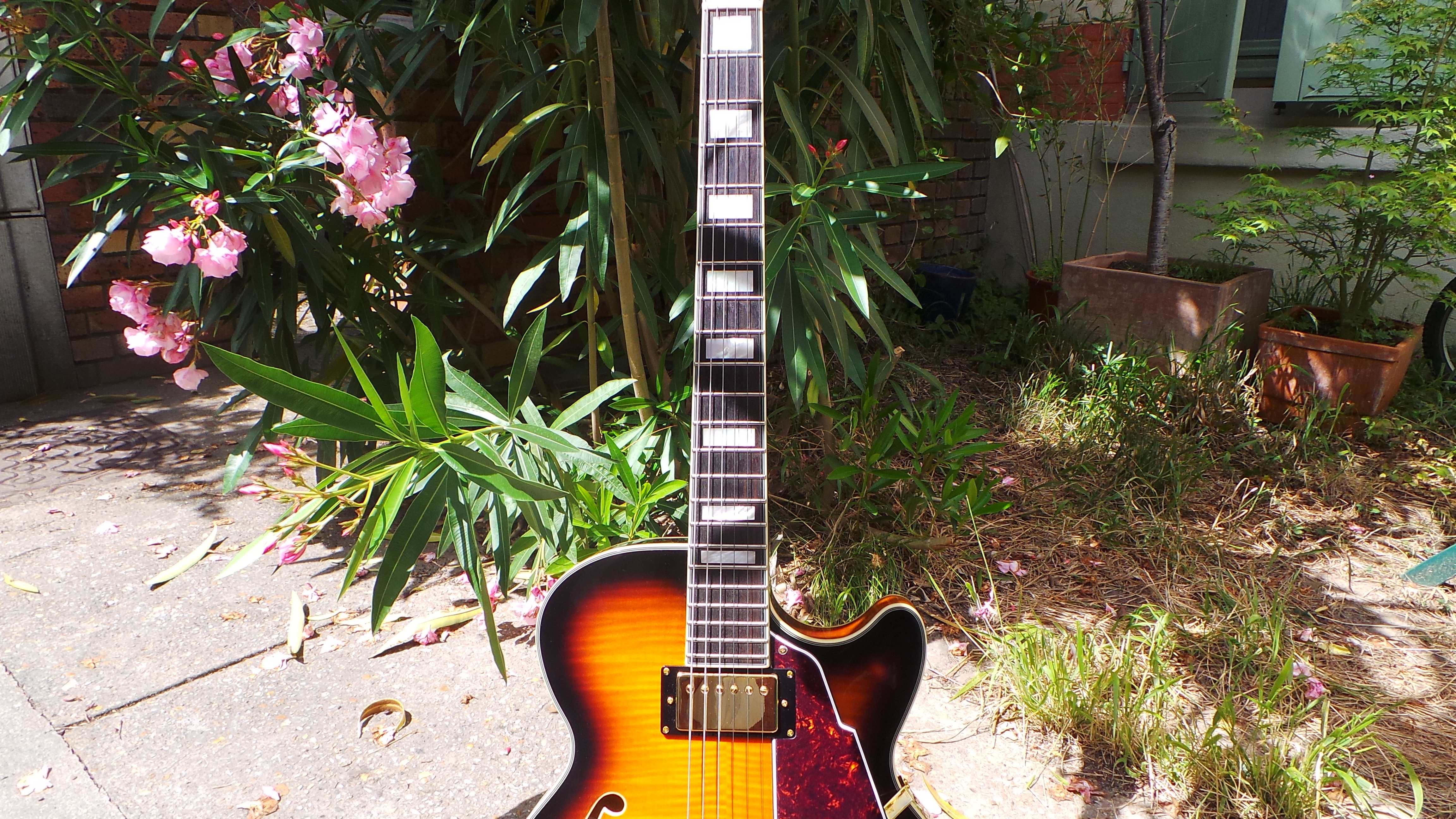 D'angelico EX-SS : D'angelico EX-SS (47306)