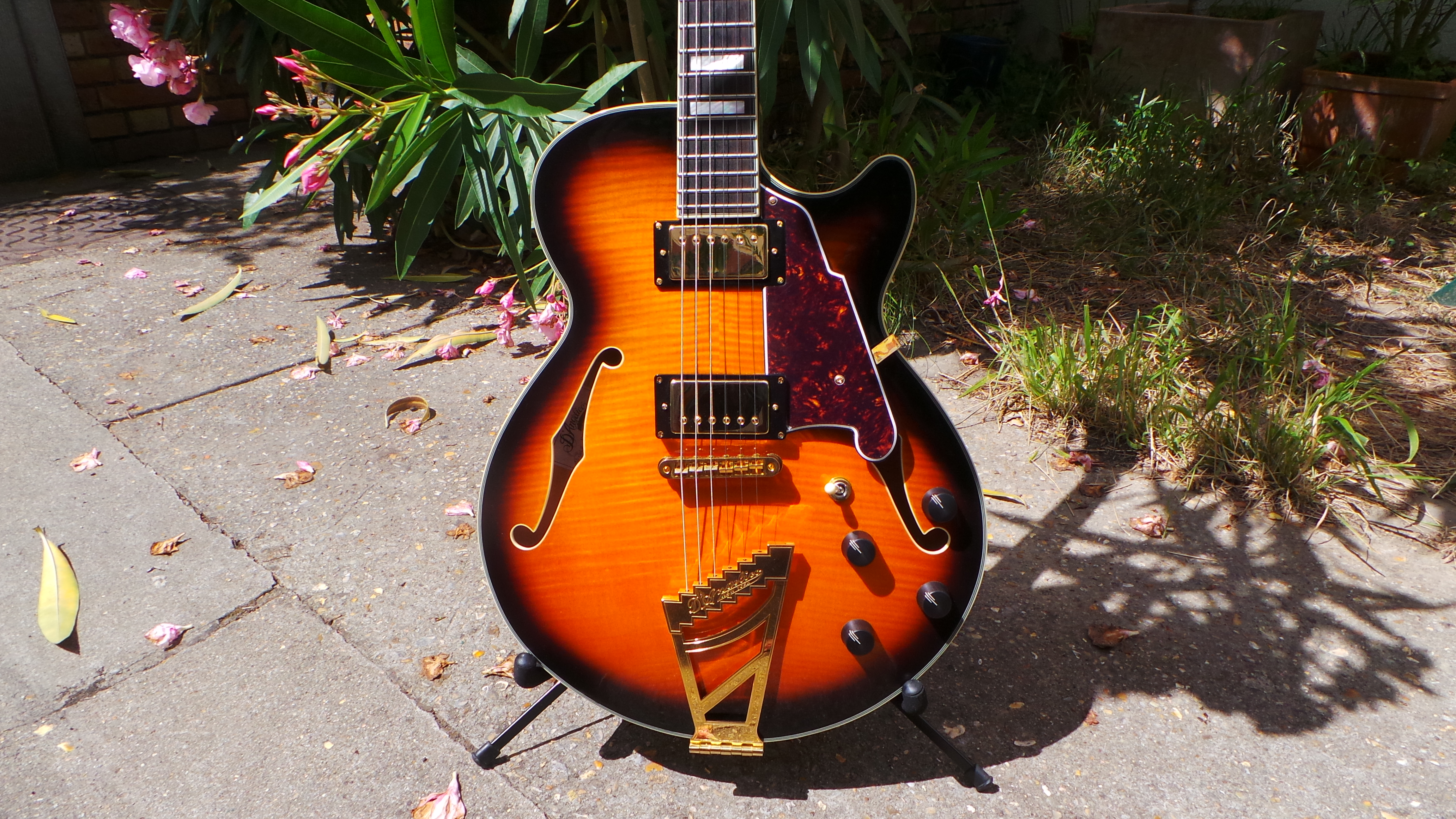 D'angelico EX-SS : D'angelico EX-SS (20605)