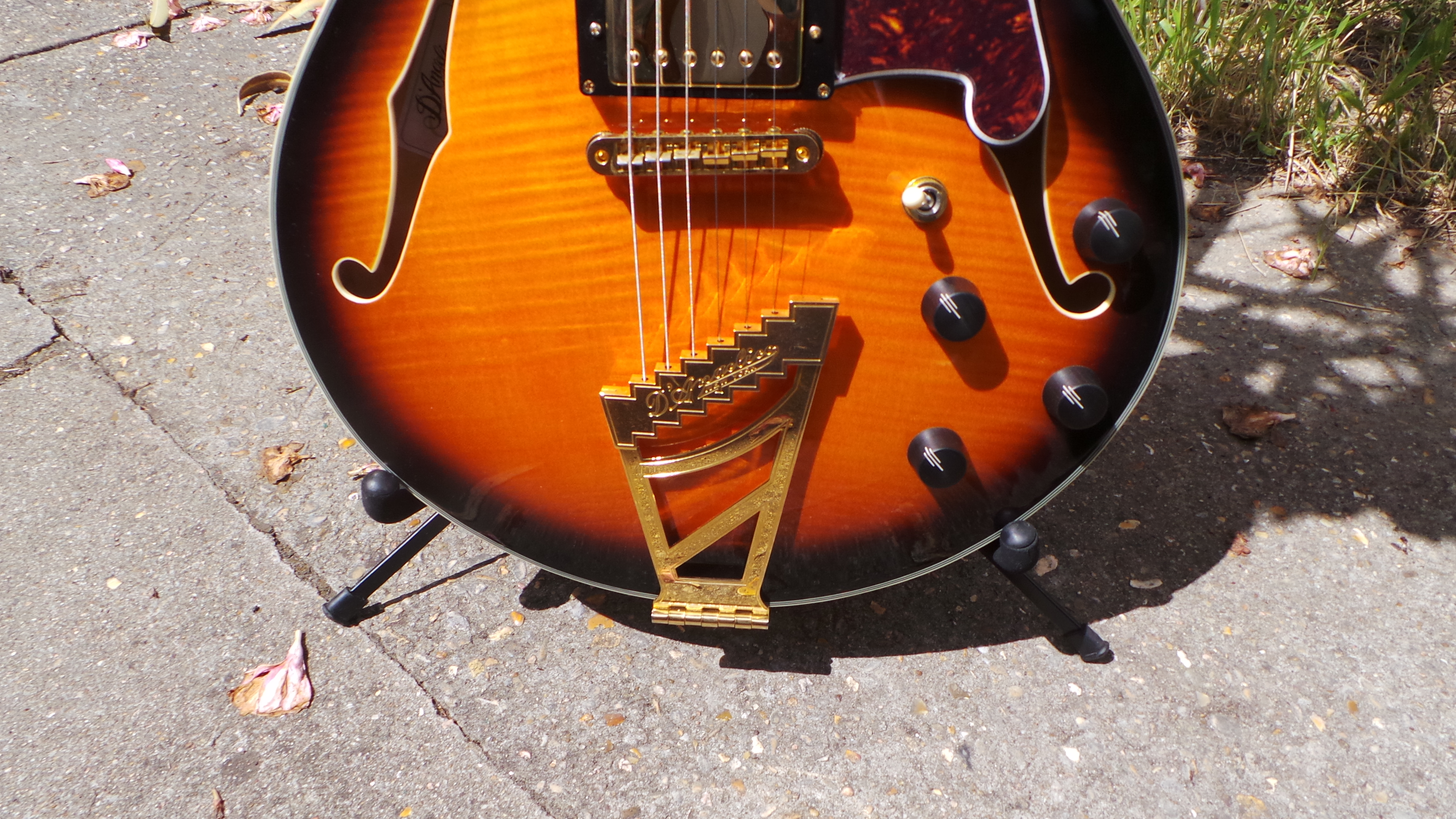 D'angelico EX-SS : D'angelico EX-SS (27245)