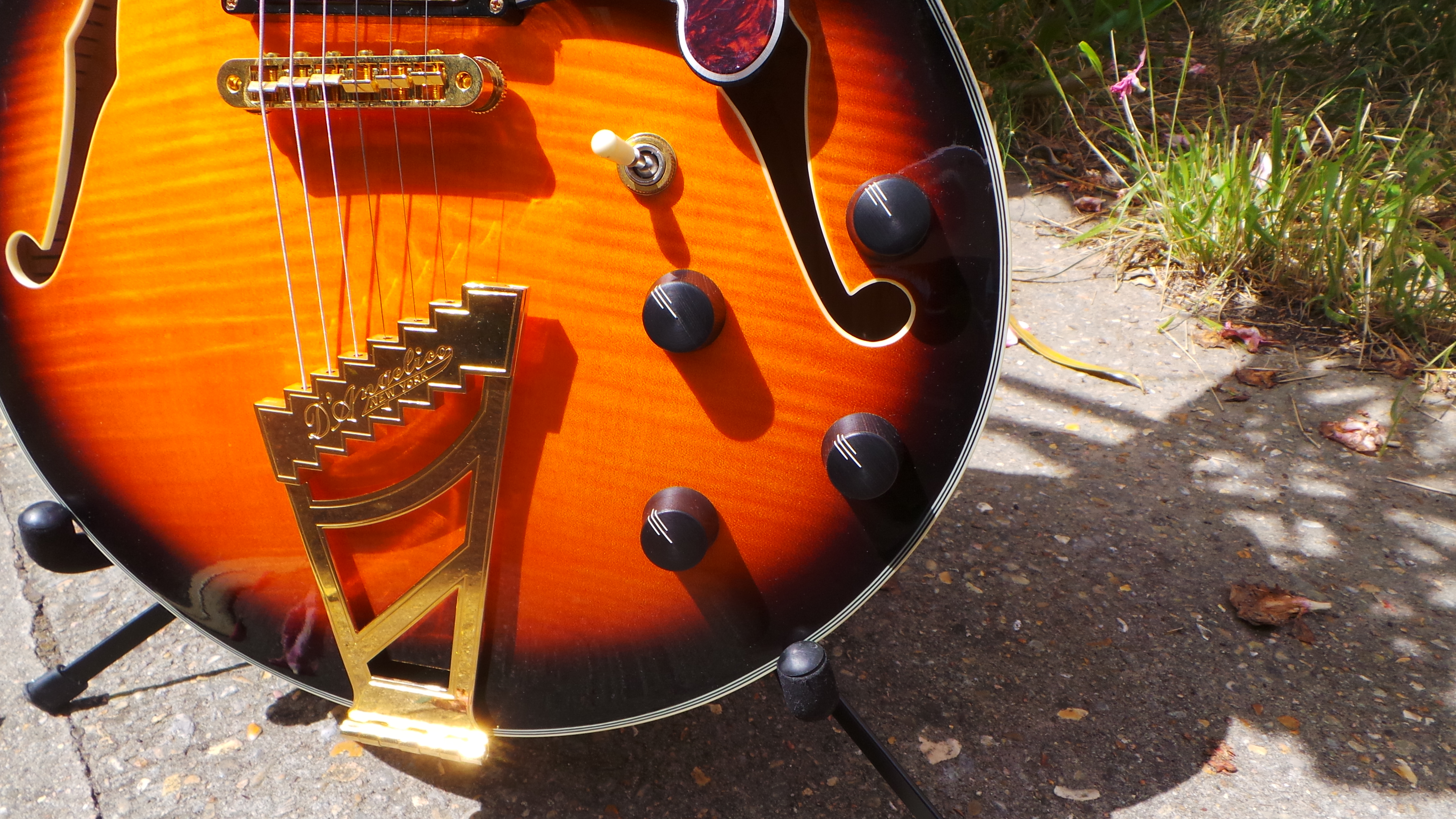 D'angelico EX-SS : D'angelico EX-SS (41961)