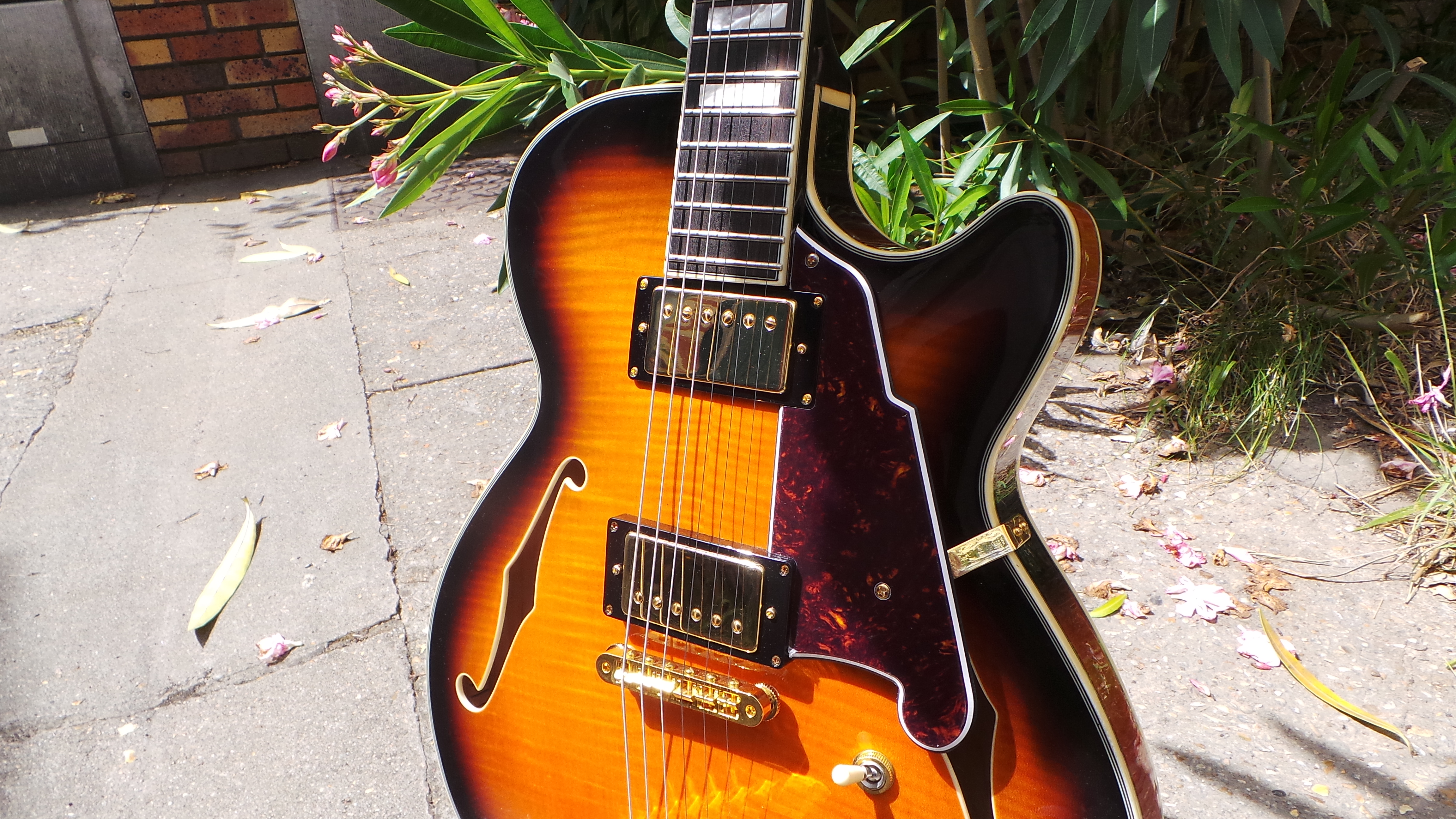 D'angelico EX-SS : D'angelico EX-SS (71040)