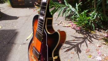 D'angelico EX-SS : D'angelico EX-SS (96239)