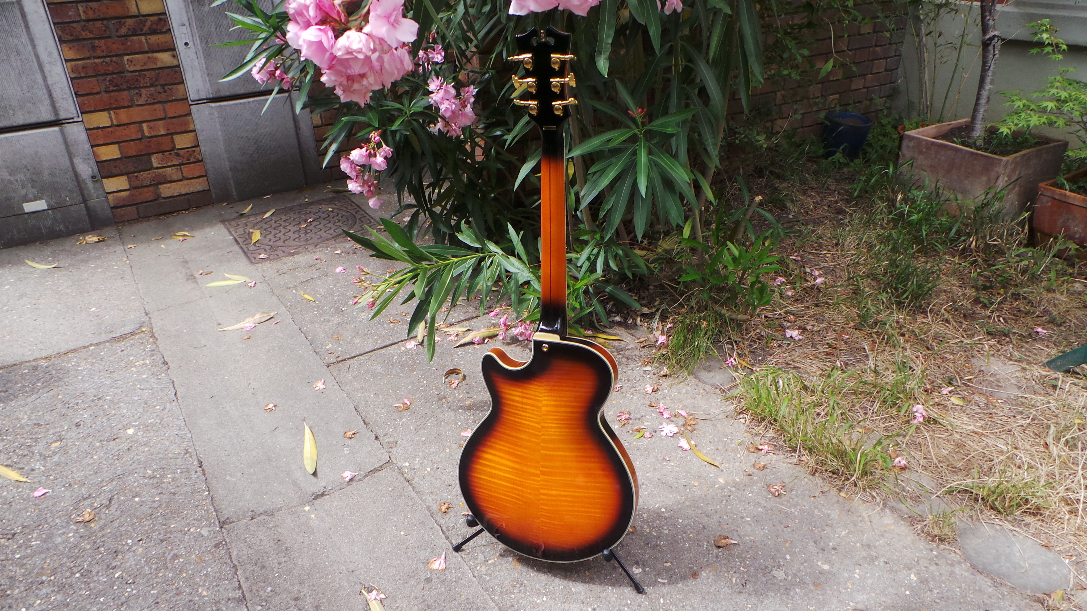 D'angelico EX-SS : D'angelico EX-SS (29773)