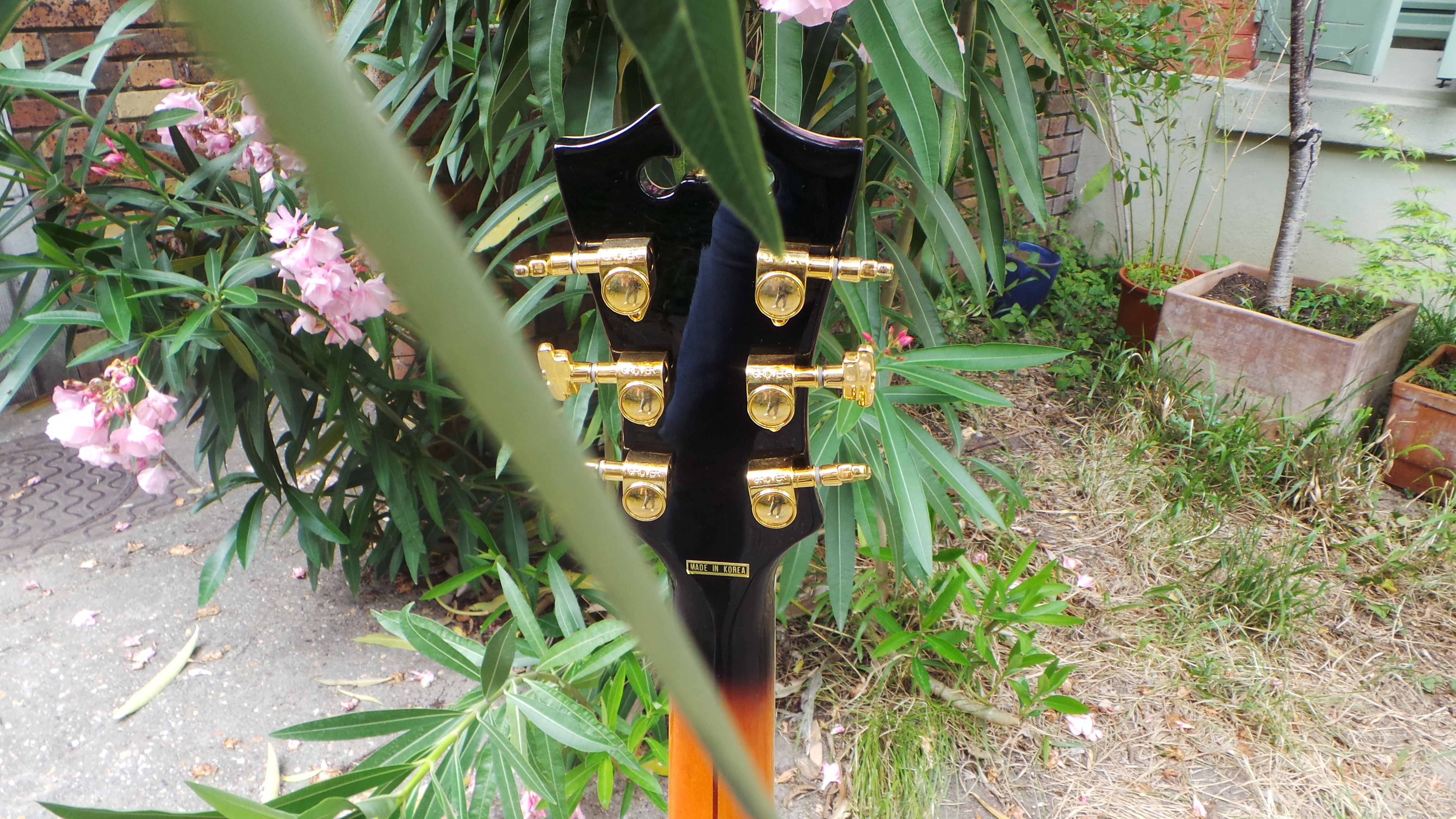 D'angelico EX-SS : D'angelico EX-SS (30725)