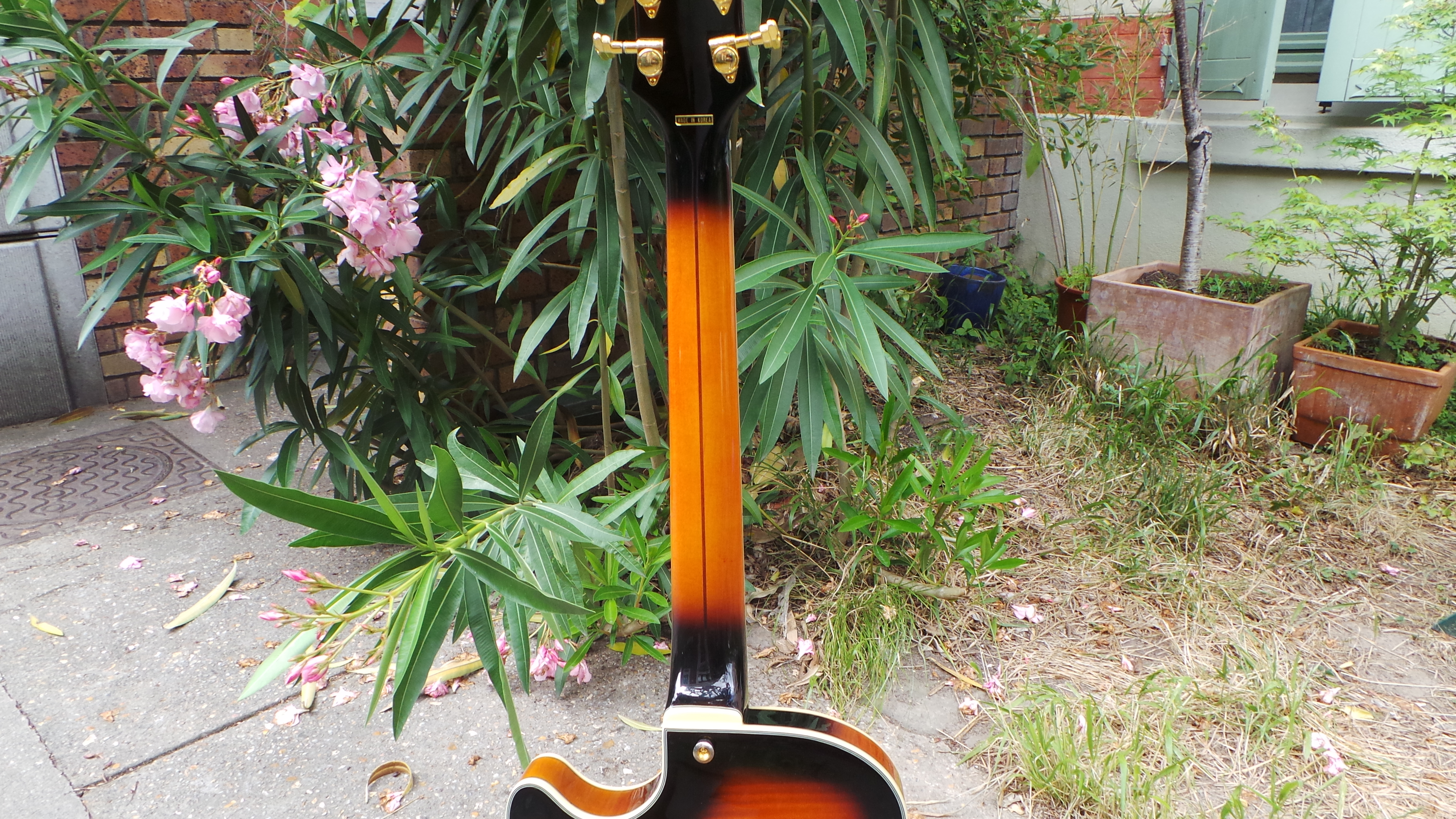 D'angelico EX-SS : D'angelico EX-SS (68414)