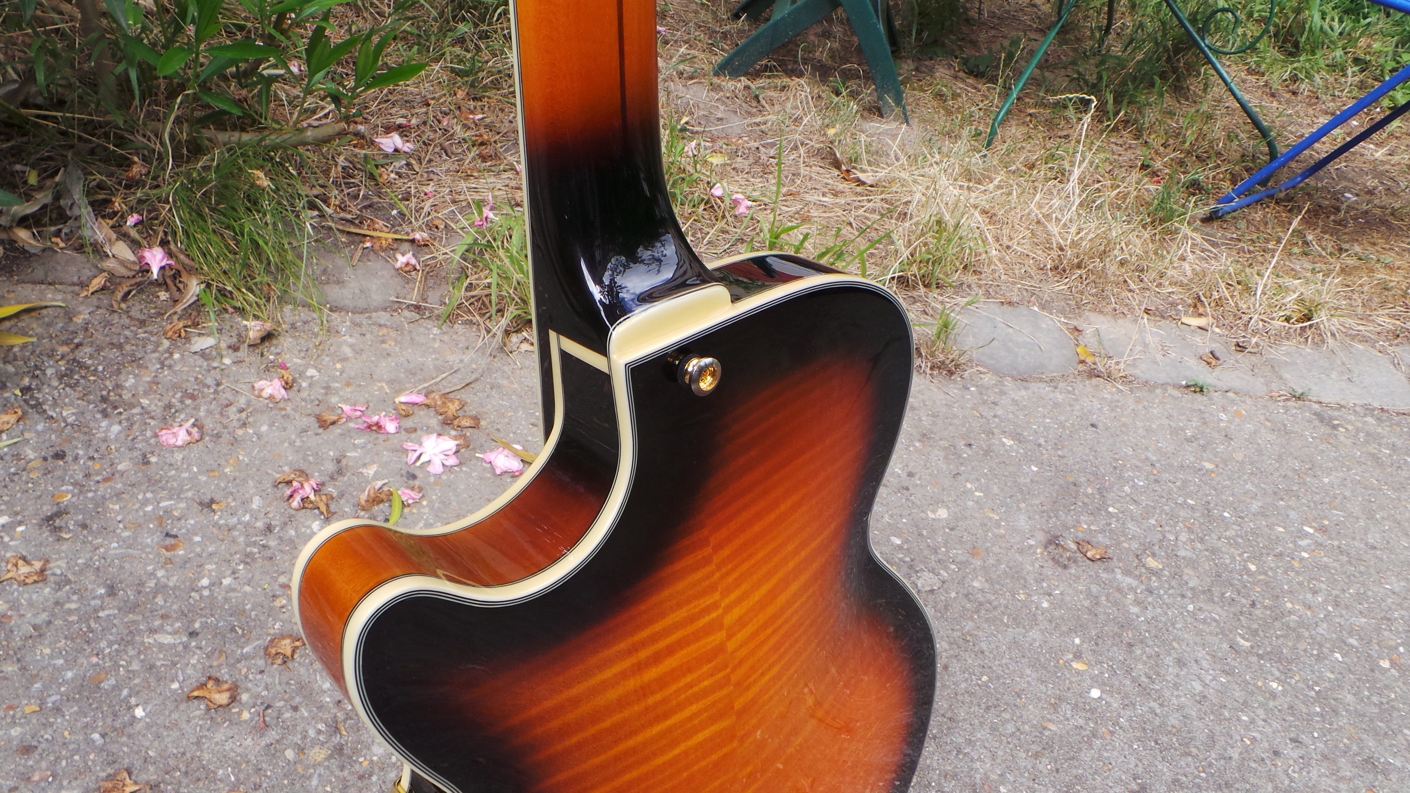 D'angelico EX-SS : D'angelico EX-SS (7818)