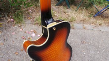 D'angelico EX-SS : D'angelico EX-SS (7818) D'angelico EX-SS : D'angelico EX-SS (7818)