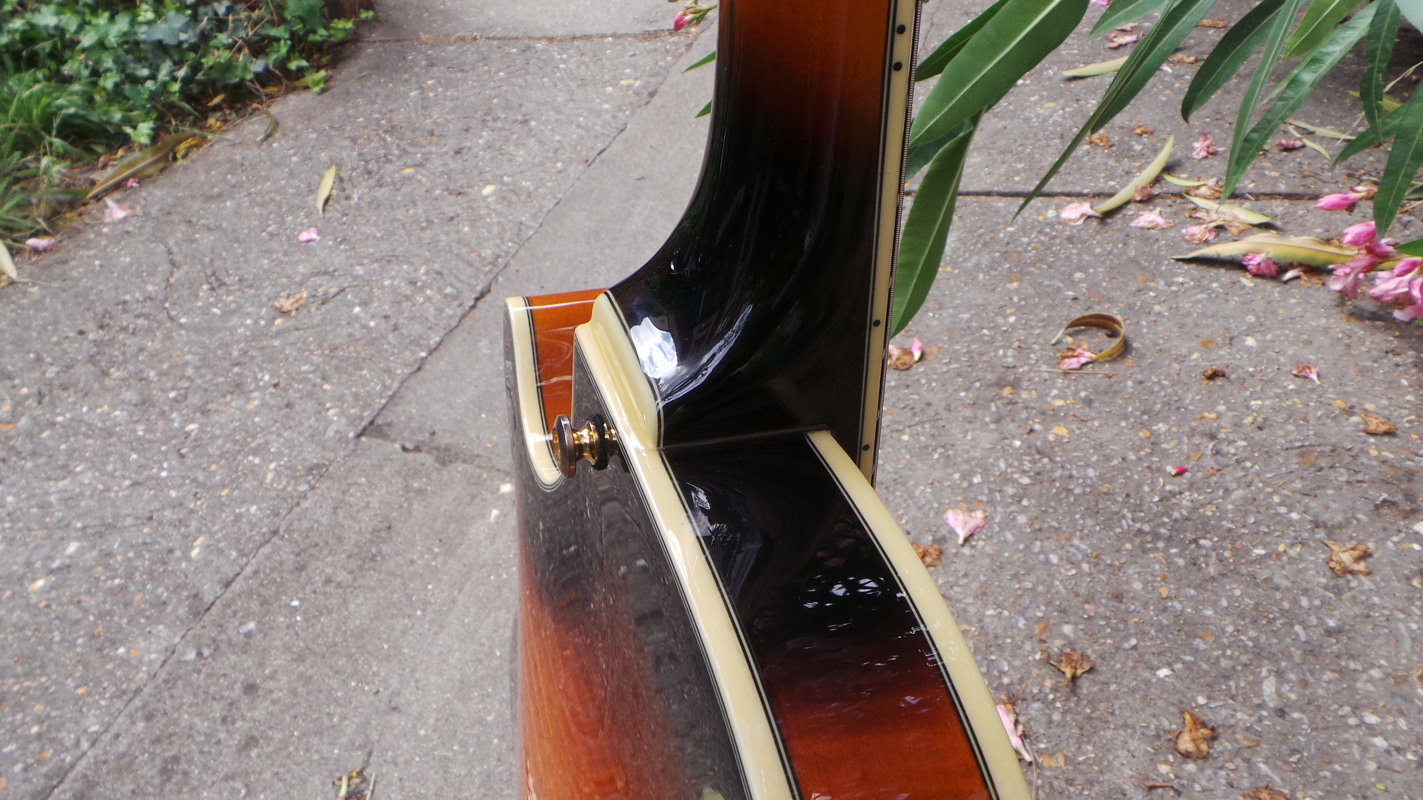 D'angelico EX-SS : D'angelico EX-SS (12971)