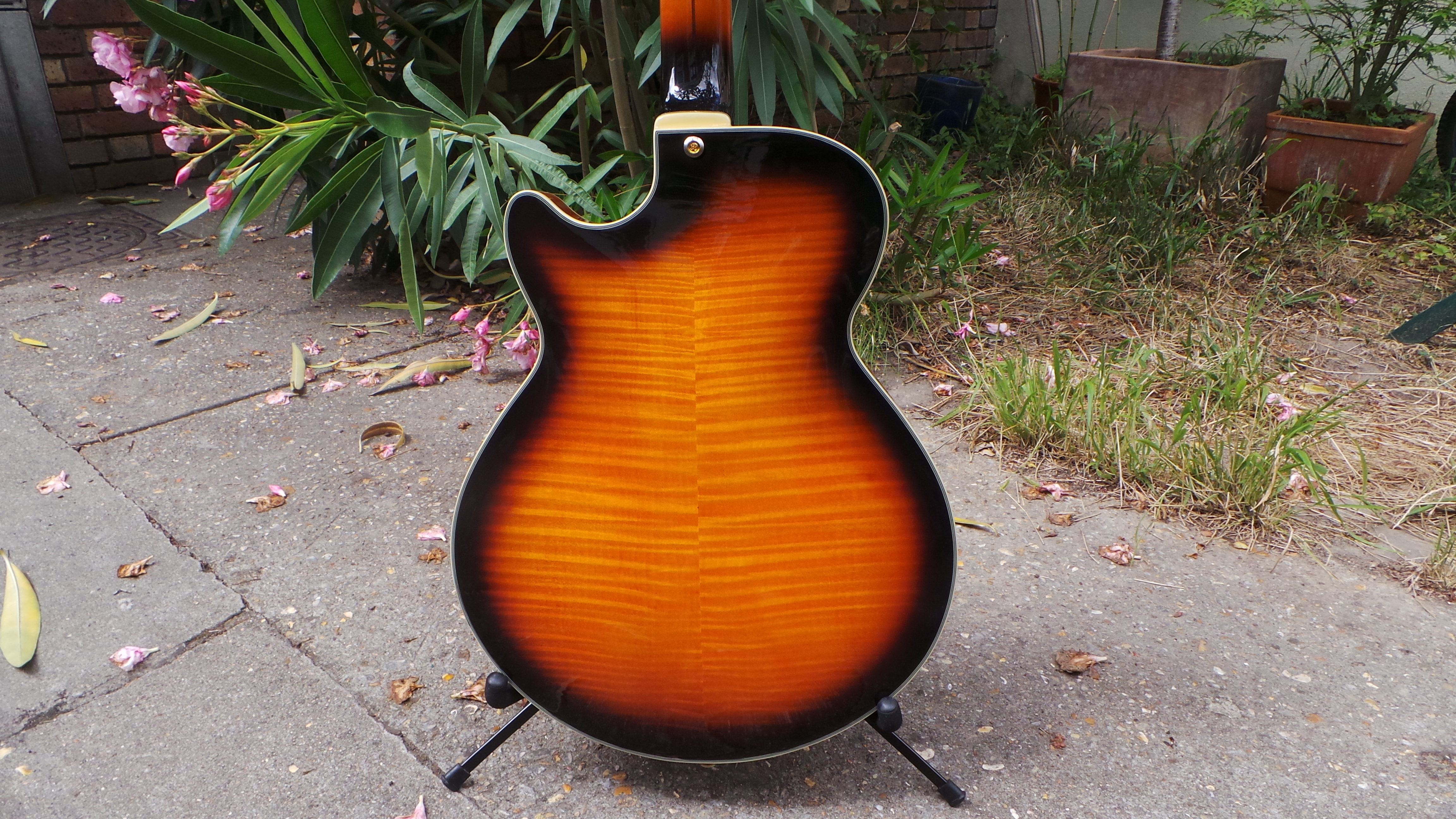 D'angelico EX-SS : D'angelico EX-SS (95477)