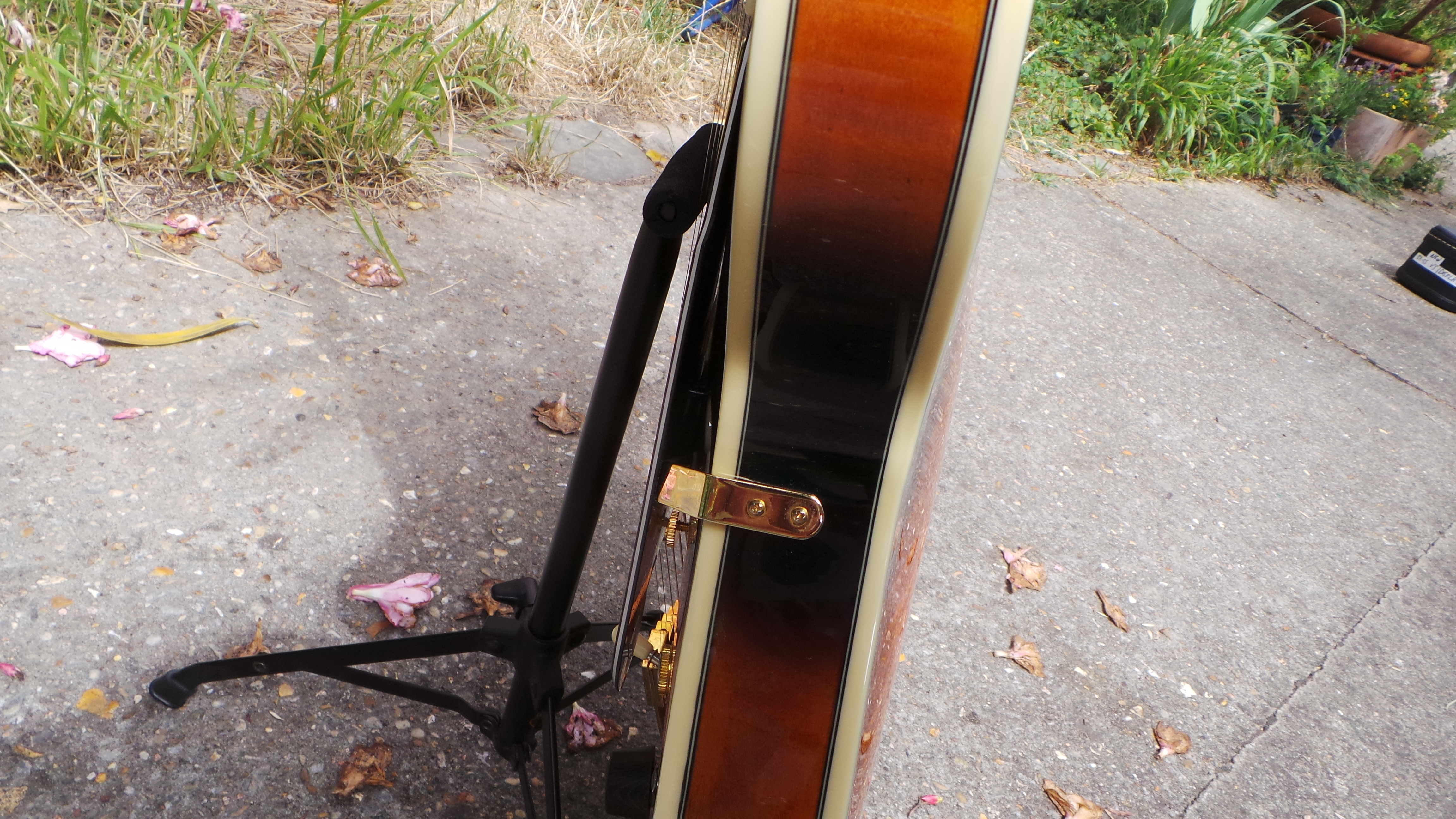 D'angelico EX-SS : D'angelico EX-SS (89388)