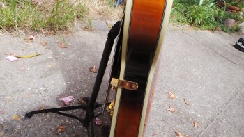 D'angelico EX-SS : D'angelico EX-SS (89388) D'angelico EX-SS : D'angelico EX-SS (89388)