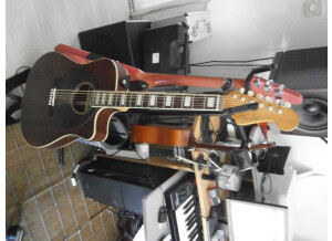 Fender Jimmy Dale Signature Kingman SCE (40940)