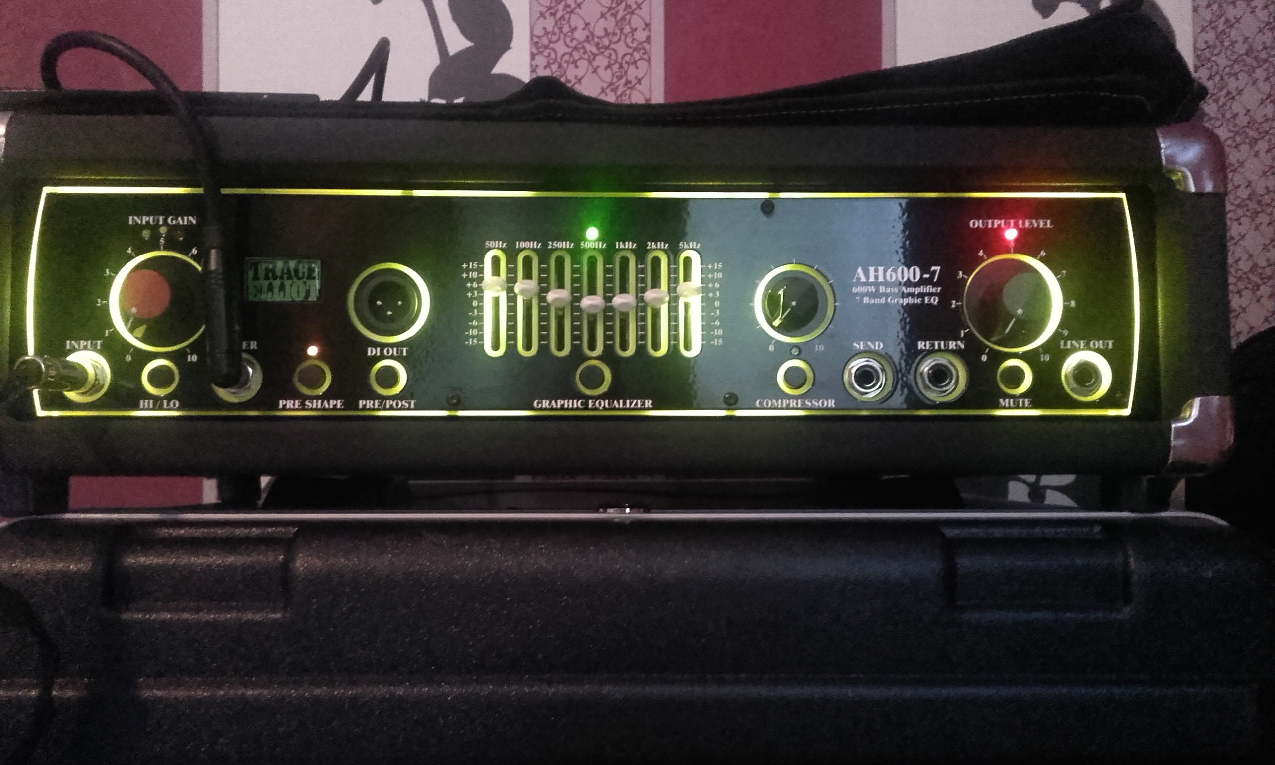 Trace Elliot  AH600-7 Head