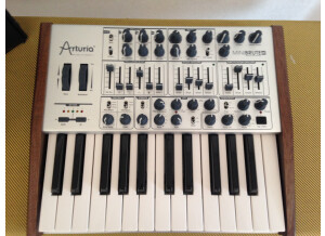 Arturia MiniBrute SE (14358)