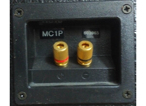 APG MC1P (67209)