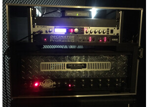 Mesa Boogie Single Rectifier Solo Head (95274)