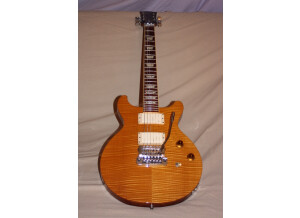 Gibson Les Paul Standard DC Lite (41591)