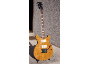 Gibson Les Paul Standard DC Lite (59871)
