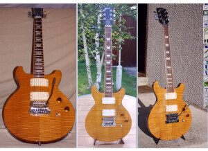 Gibson Les Paul Standard DC Lite (84150)