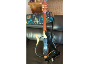 Moog Music Etherwave Theremin Standard (8978)