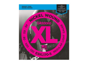 D'Addario ESXL170-5