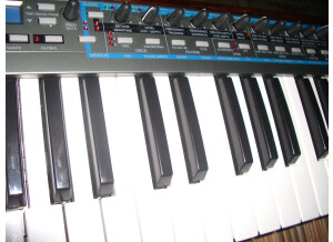 Novation XioSynth 49 (52092)