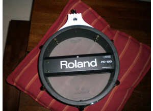 Roland PD-100 (98946)