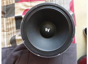 Electro-Voice EVM12L Classic (88211)