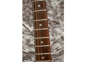 Fender American Elite Stratocaster (75160)