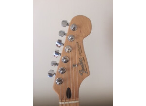 Fender Standard Stratocaster [2009-Current] (22891)