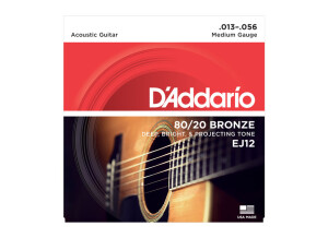 D'Addario 80/20 Bronze Wound Acoustic Guitar