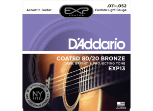 D'Addario EXP13
