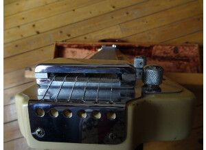 Fender Lap Steel (1950) (73646)