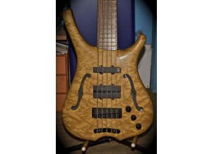 Warwick Infinity Birdeye 5c