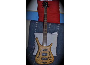 Warwick Infinity Birdeye 5c