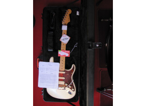 Fender American Deluxe Stratocaster HSS [2010-2014] (79713)