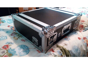 Eden Bass Amplification WT-800 The World Tour (13436)