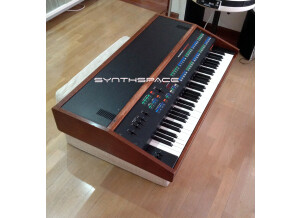 Rhodes Chroma (32038)